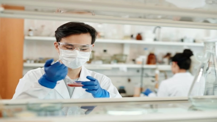 5 Ways Pharmaceutical Companies are Ensuring the Highest Standards During Drug Manufacturing