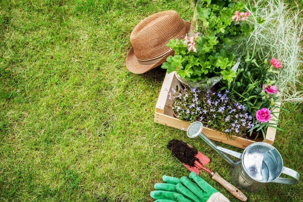The Benefits of Professional Landscaping Services