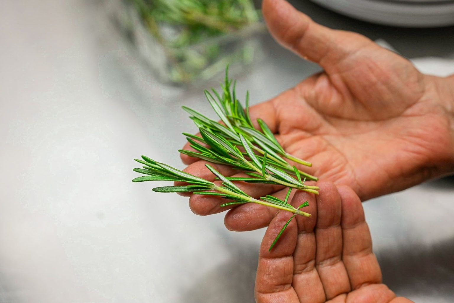 HMD Bar & Grill’s Nutritious and Delightful Choices