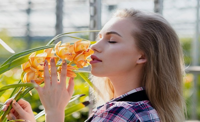 Elevate Your Senses: The Science Behind a Medicinal Flower’s High