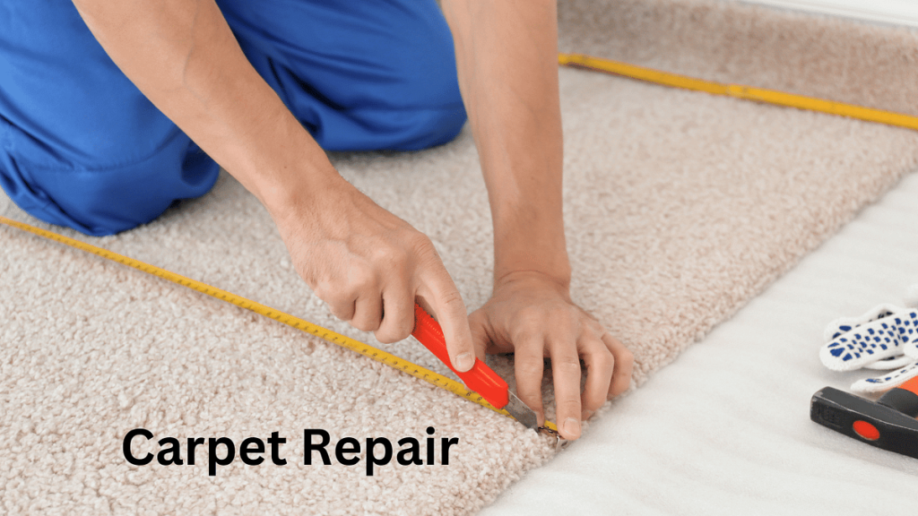 How to Safeguard Your Carpets from Common Wear and Tear