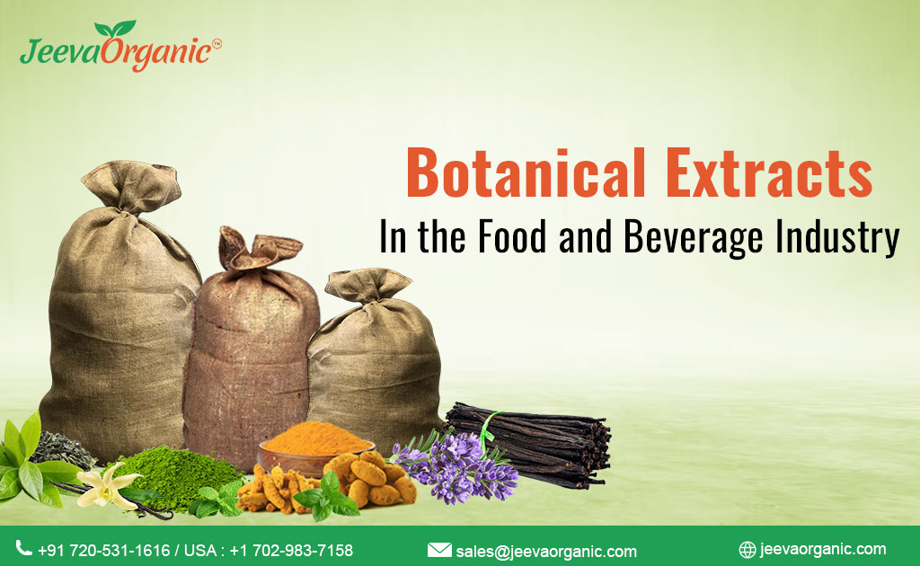 Exploring The Growing Business Of Botanical Extraction: Enhancing Lifestyle With Innovative Methods