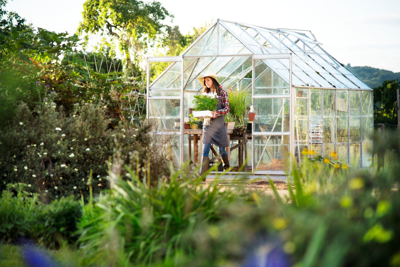 From Farm To Table: How Greenhouse Gardening Fits Into A Healthy Lifestyle